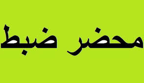 ١٣محضر ضبط بحق أصحاب مولدات في منطقة صيدا