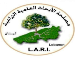 "مصلحة الأبحاث العلمية" : لا يمكن بتاتاً التنبؤ بحدوث زلزال وقوته