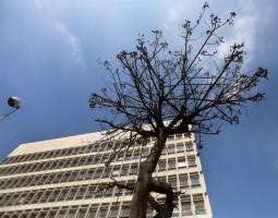 حزب الله والتيار يرفضان أيّ تعيينات تجريها حكومة تصريف الأعمال | ميقاتي: على منصوري تولّي مَهامّ سلامة