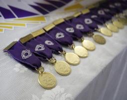 "قطاع صيدا" في "كشافة الإمام المهدي" يختتم اللقاء التنظيمي للقائدات للعام 2024