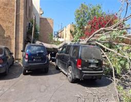 اصابة مواطن بجروح وتضرر سيارة بسقوط شجرة معمرة في باحة سرايا صيدا