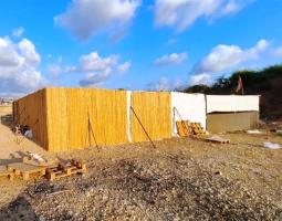 بديع : بلدية صيدا تواصل إهتمامها بالكلاب الشاردة منعا لضررها على المواطنين