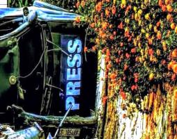 "الشعبي الناصري" ينعى شهداء الإعلام الذين قضوا على يد آلة الإجرام الصهيونية في حاصبيا