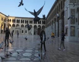 "معظم لبنان" يحتفي بالسقوط المدوّي للأسد تحركٌ عاجل للحدود واسترداد السجناء اللبنانيين