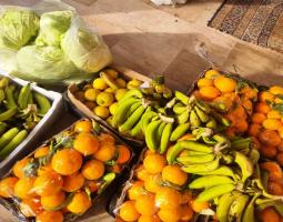 حصاد الأسبوع الرمضاني الثاني ل"لجان التكافل الاجتماعي" في "حزب الله" في صيدا والجوار