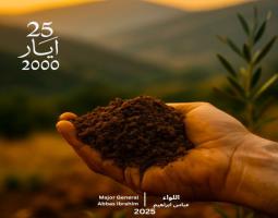 اللواء عباس ابراهيم في ذكرى التحرير: الاعمار هو التحرير الحقيقي