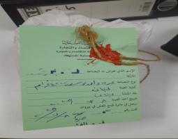 "مصلحة الاقتصاد جنوبا" : محضر ضبط و سحب عينات في صيداوحالة تسمم في مطعم بمدينة صور