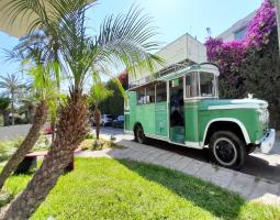 "مؤسسة الحريري" تنظم نشاطا اقتصاديا  في صيدا ومعرض بيئيا