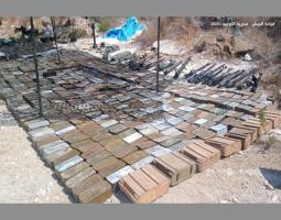 الجيش: تسلُّم كمية من السلاح الفلسطيني من مخيمَي البداوي وعين الحلوة