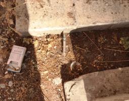 شبان يتعاطون المخدرات في جبّانة صيدا القديمة: مَن يتحمّل المسؤولية؟