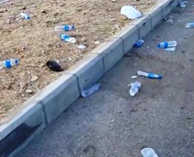 النفايات في كل مكان.. واجهة بيروت البحرية في مظهر