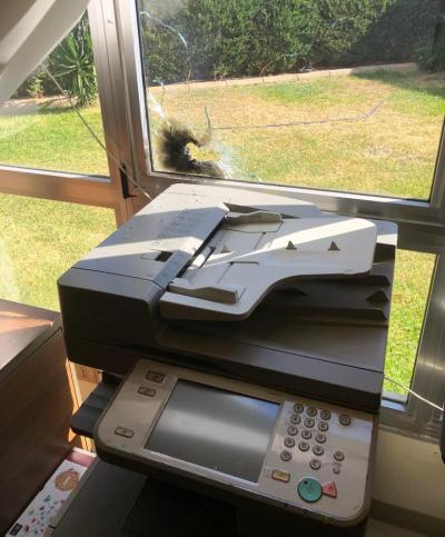 الرصاص يصيب مكاتب مبنى غرفة التجارة والصناعة في صيدا