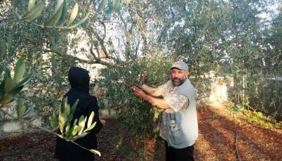 الجنوب يتنفس الصعداء… ولودريان يعود الأربعاء