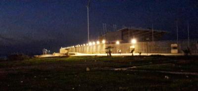 بلدية صيدا تطلق حملة لتشجير 