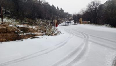 الإشكالية تستيقظ: الحكومة الرئاسية تردّ قوانين