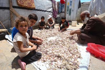 كتاب من بو حبيب للمقداد: نطالب بدعوة سوريا للمشاركة في مؤتمر النازحين