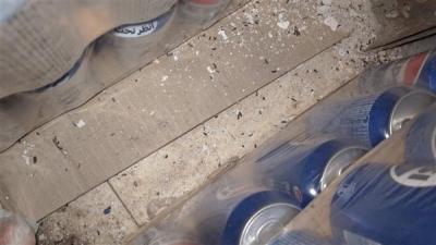 محضرا ضبط بحق مطعمين في صيدا وصور لوجود فئران في مستودع ومواد منتهية الصلاحية