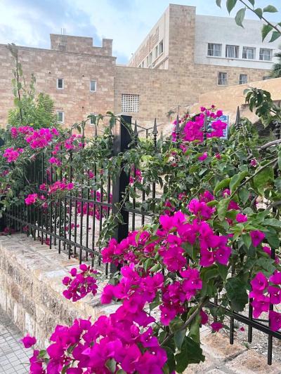 بعد تأهيلها من قبل 