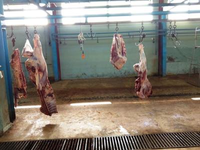 محافظ الجنوب يقفل مسلخ صيدا لمخالفته الشروط الصحية والسلامة العامة