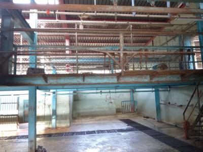 حجازي : نعمل لتأمين كافة الإجراءات والمواصفات المطلوبة من أجل إعادة فتح مسلخ صيدا خلال الـ 48 ساعة