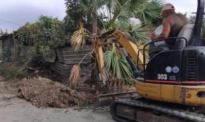 مبادرة للصيدلي عمر مرجان لمعالجة أزمة الأشجار والممرات المقفلة ضمن مقبرة صيدا الجديدة