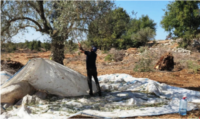 4 شهداء في «غارات الخميس» الأسبوعية | رئيس الـ«ميكانيزم» الجديد: سأكون مختلفاً